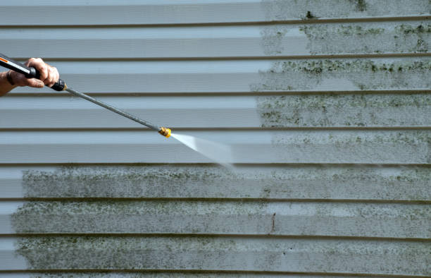 Best House Pressure Washing  in Okauchee Lake, WI